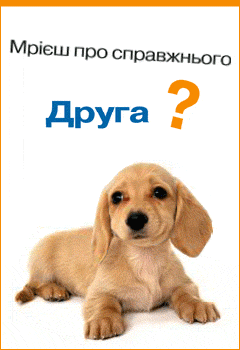 Flash баннер для автосалона