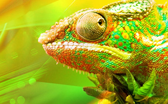 Хамелеон